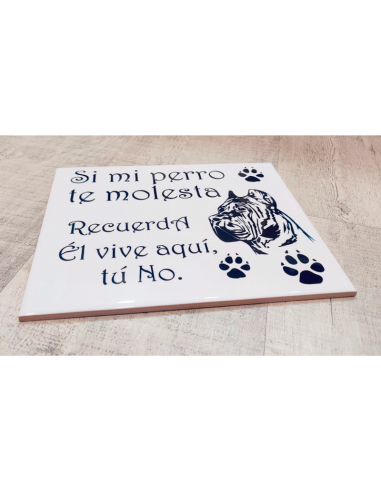 Azulejo Blanco Brillo Sublimación