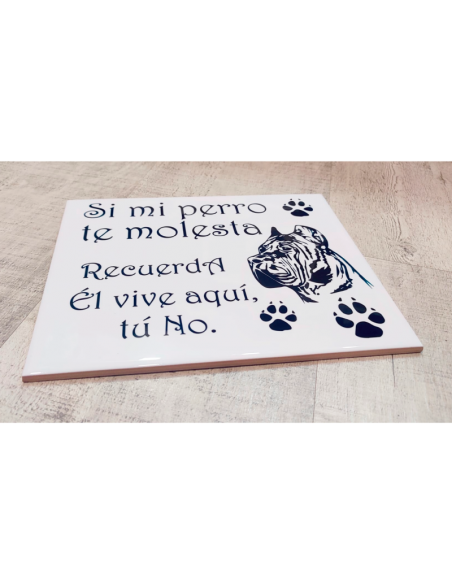 Azulejo Blanco Brillo Sublimación