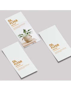 Flayer Din 10 x 21 - 1 cara