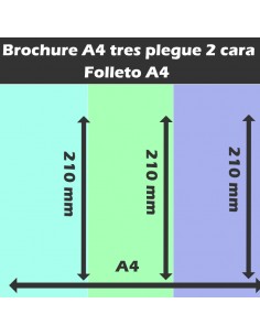 Flayer A4 plegue Tres lados 2 Caras 2