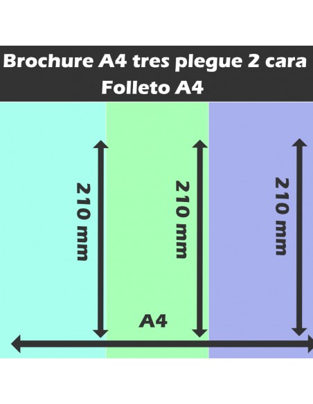 Flayer A4 plegue Tres lados 2 Caras